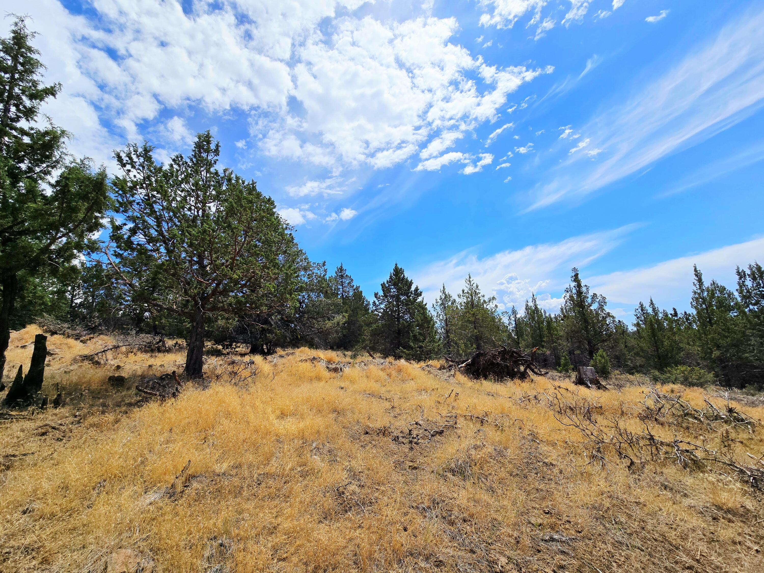 Klamath Falls Forest Estates -Hwy 66 Unit -Plat No. 2 - Land