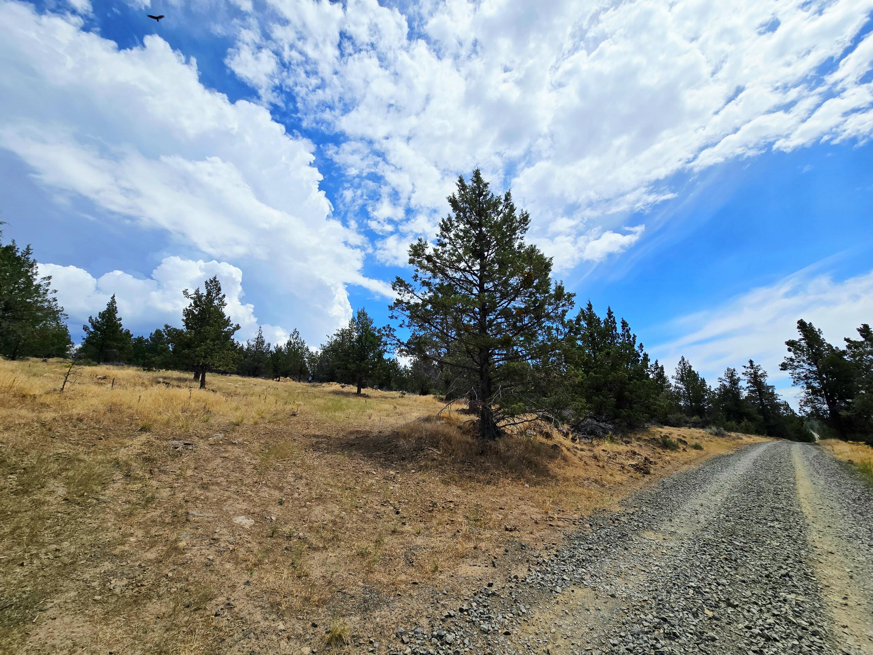 Klamath Falls Forest Estates -Hwy 66 Unit -Plat No. 2 - Land