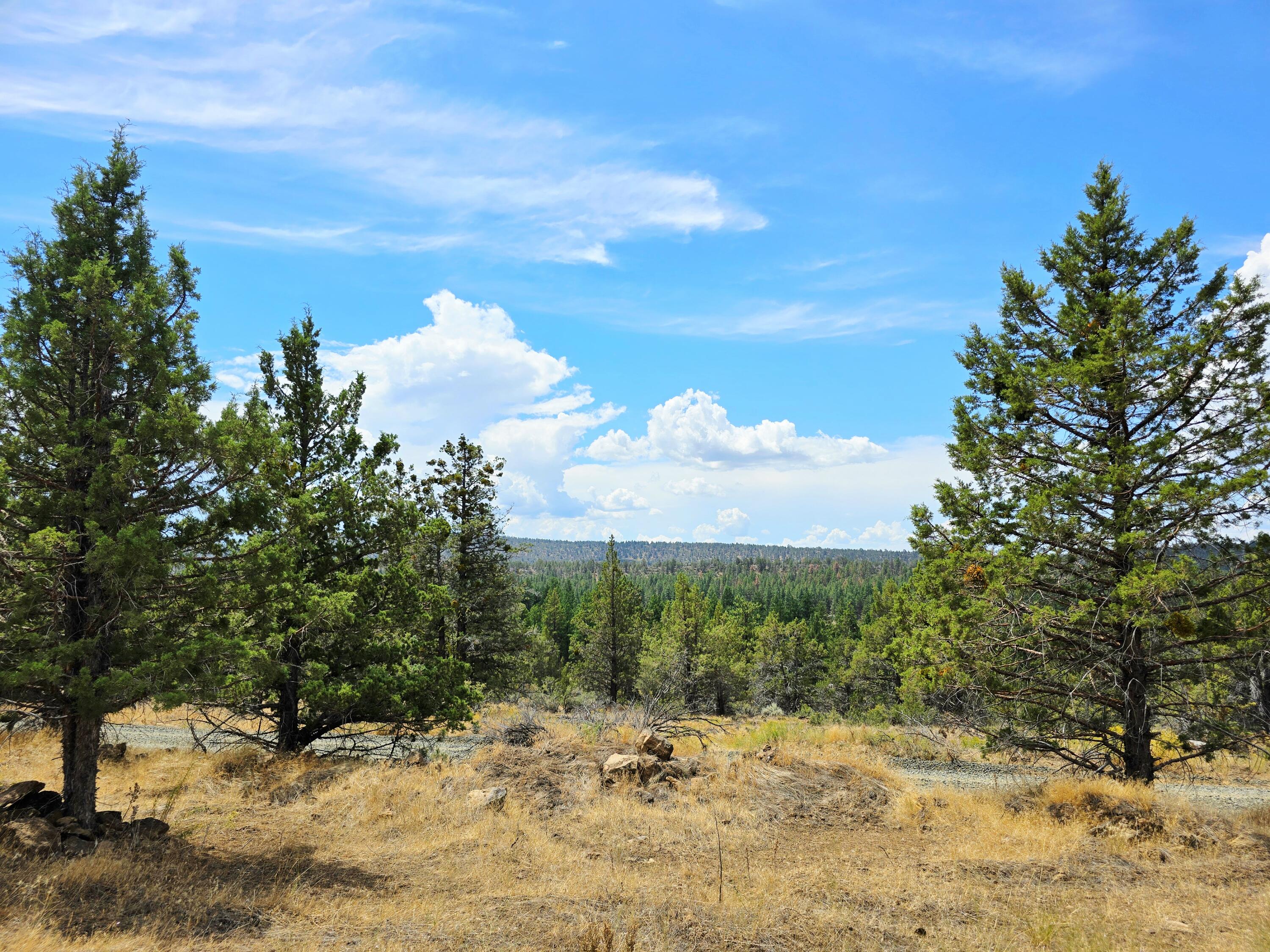 Klamath Falls Forest Estates -Hwy 66 Unit -Plat No. 2 - Land