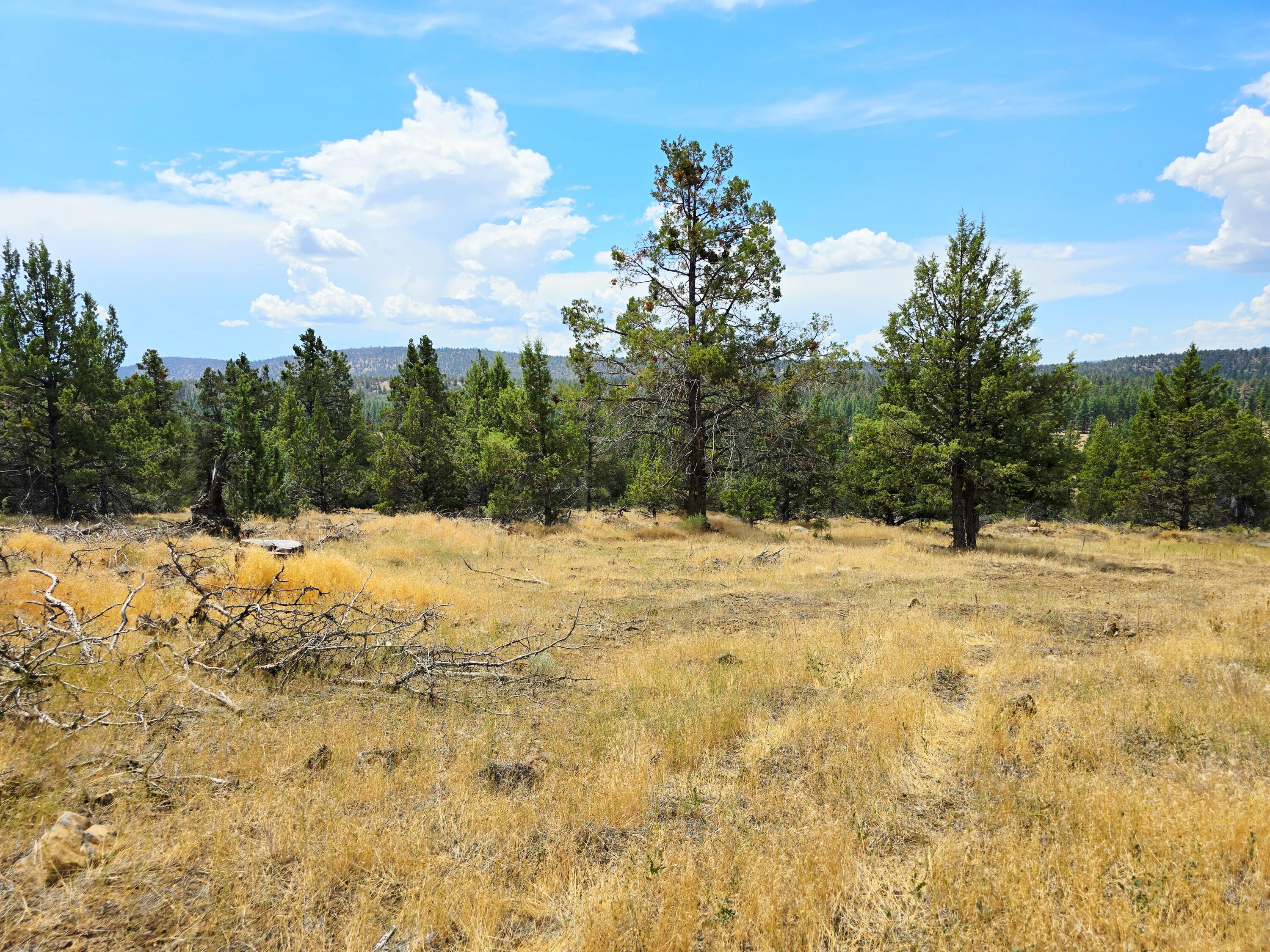 Klamath Falls Forest Estates -Hwy 66 Unit -Plat No. 2 - Land