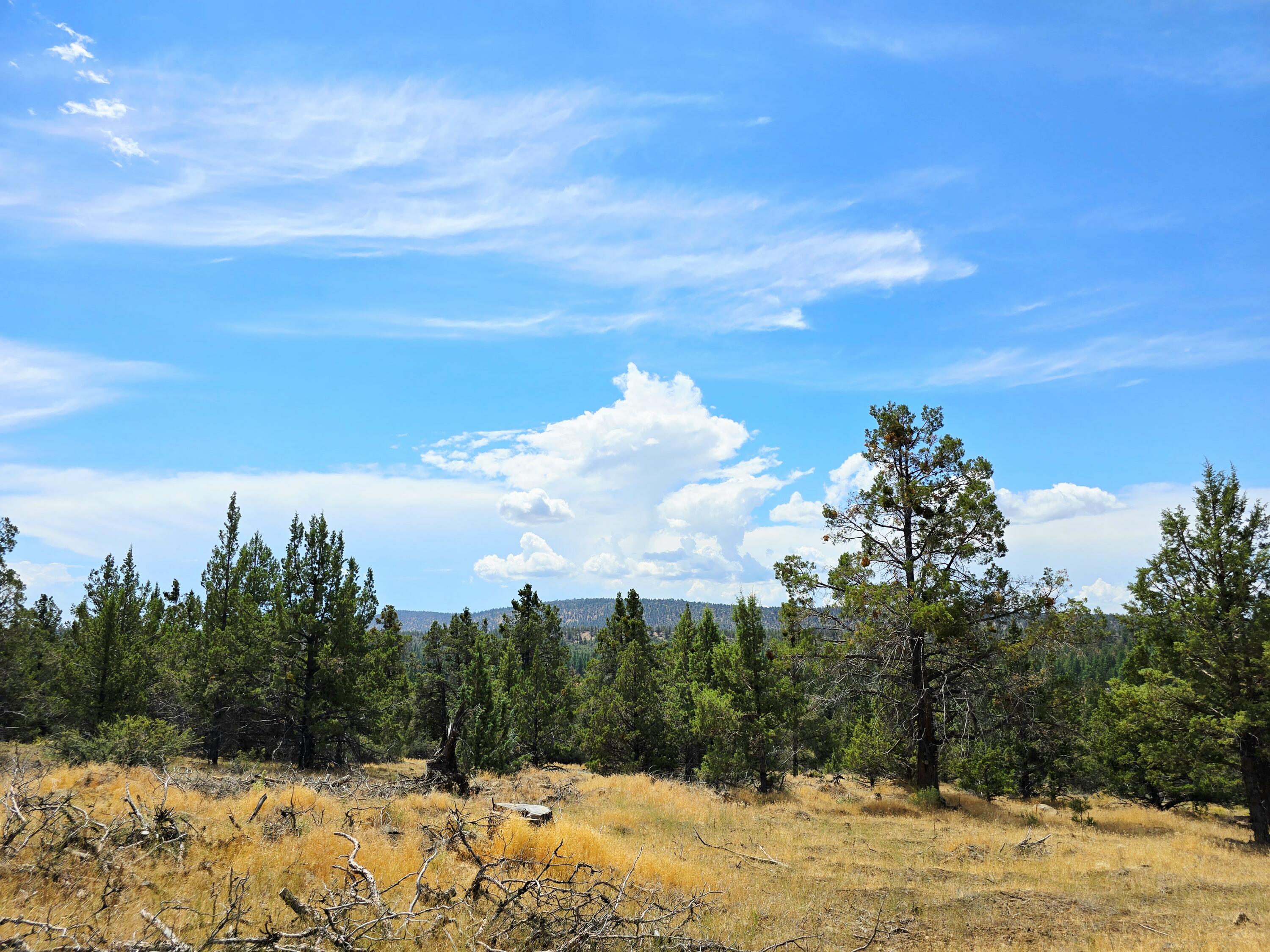 Klamath Falls Forest Estates -Hwy 66 Unit -Plat No. 2 - Land