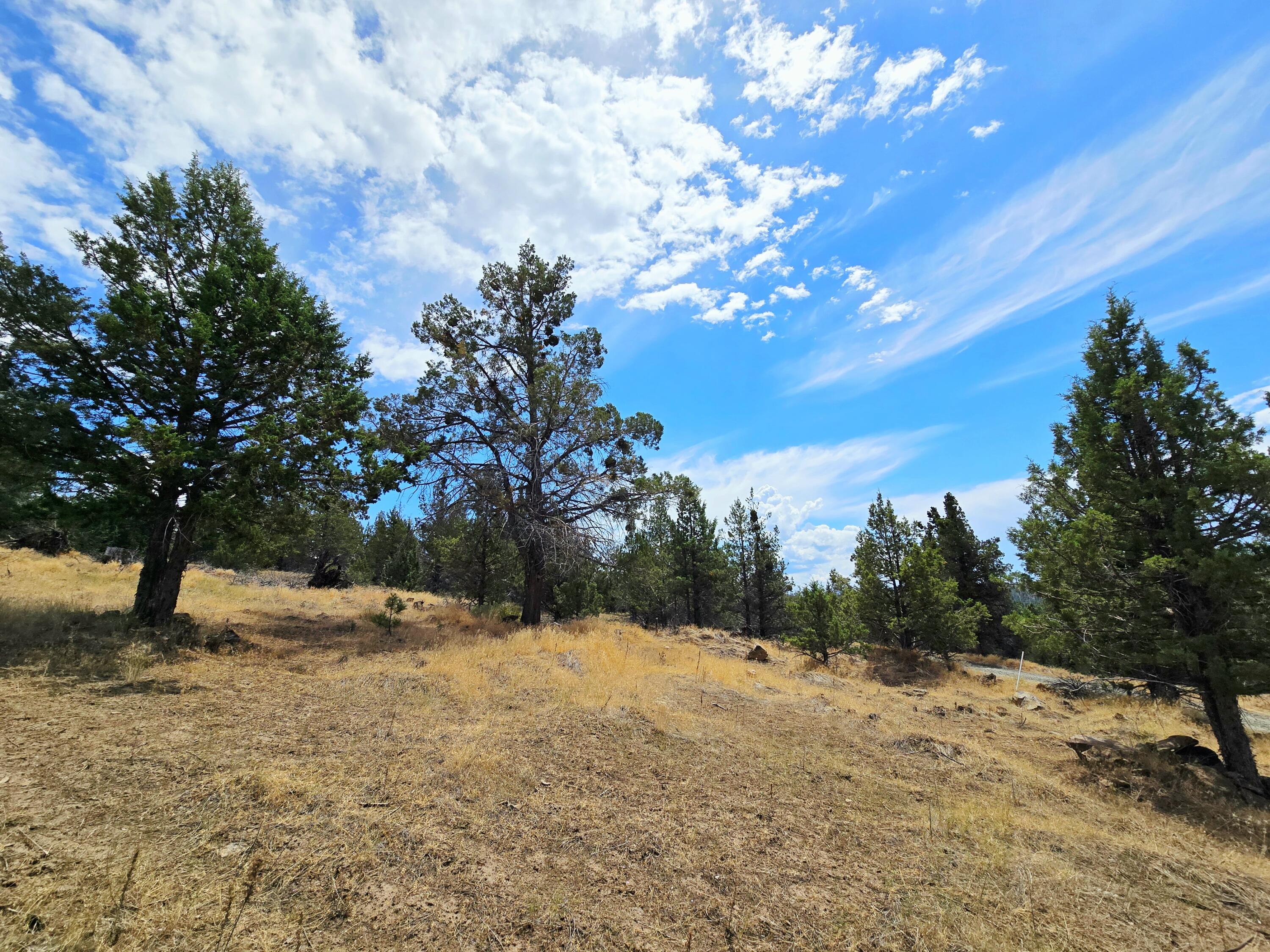 Klamath Falls Forest Estates -Hwy 66 Unit -Plat No. 2 - Land