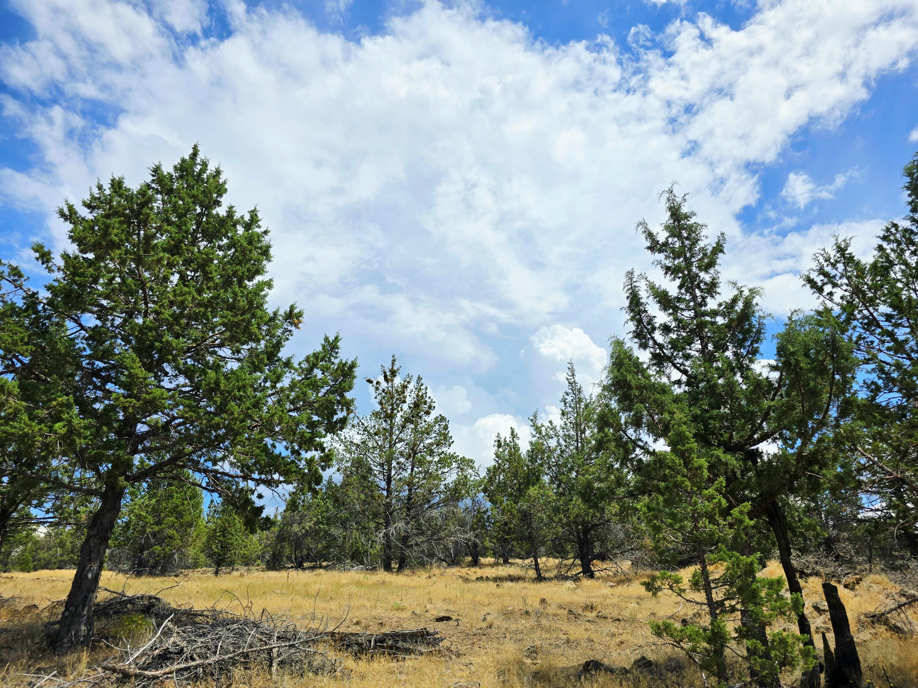 Klamath Falls Forest Estates -Hwy 66 Unit -Plat No. 2 - Land