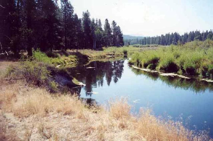 This Maybe Under Priced - Sprague River Water Front 1 Acre Already Zoned R-1 - Ready To Build. Private, Tree Studded Lot, Good Year Around Access. Great Place For Your Cabin Or Home.