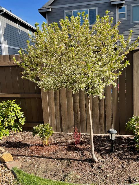 Tiny photo for 3137 NE Flagstone Avenue, Bend, OR 97701 (MLS # 220217502)