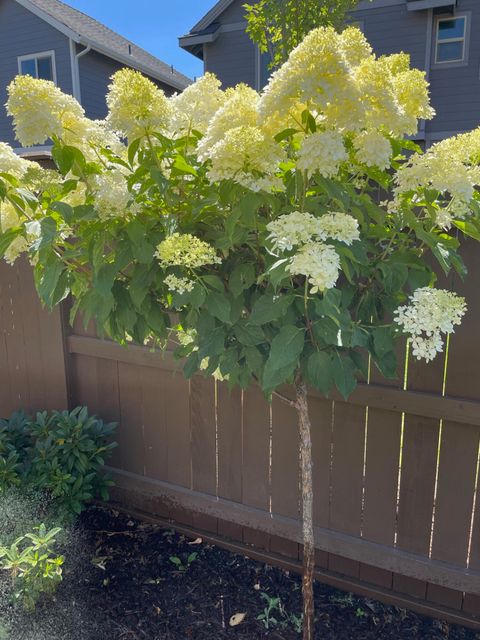 Tiny photo for 3137 NE Flagstone Avenue, Bend, OR 97701 (MLS # 220217502)