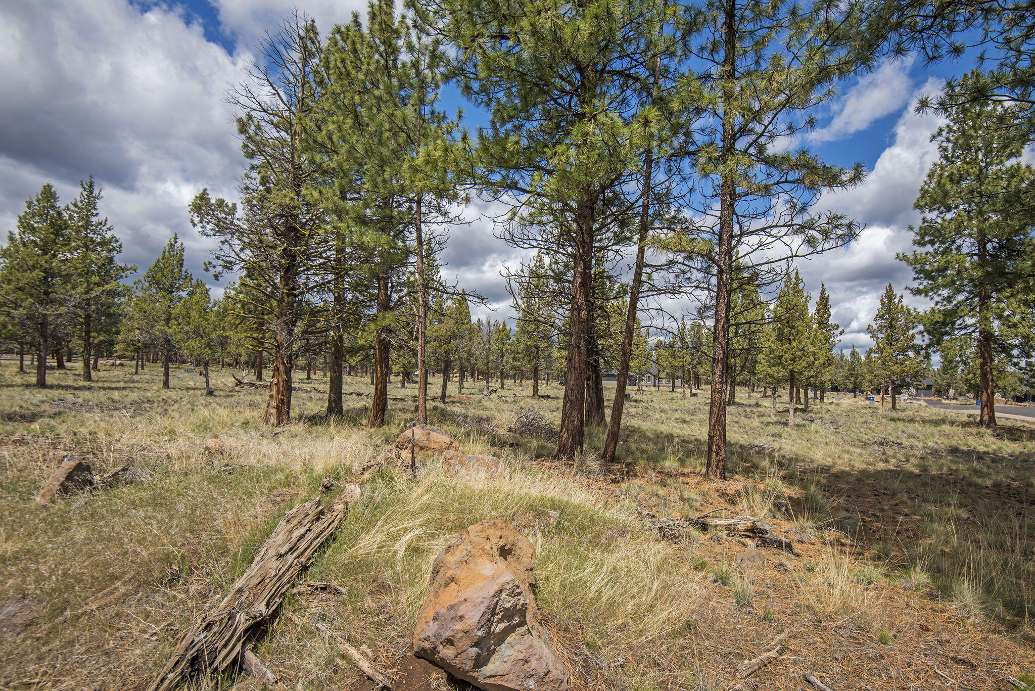 Squaw Creek Canyon - Land