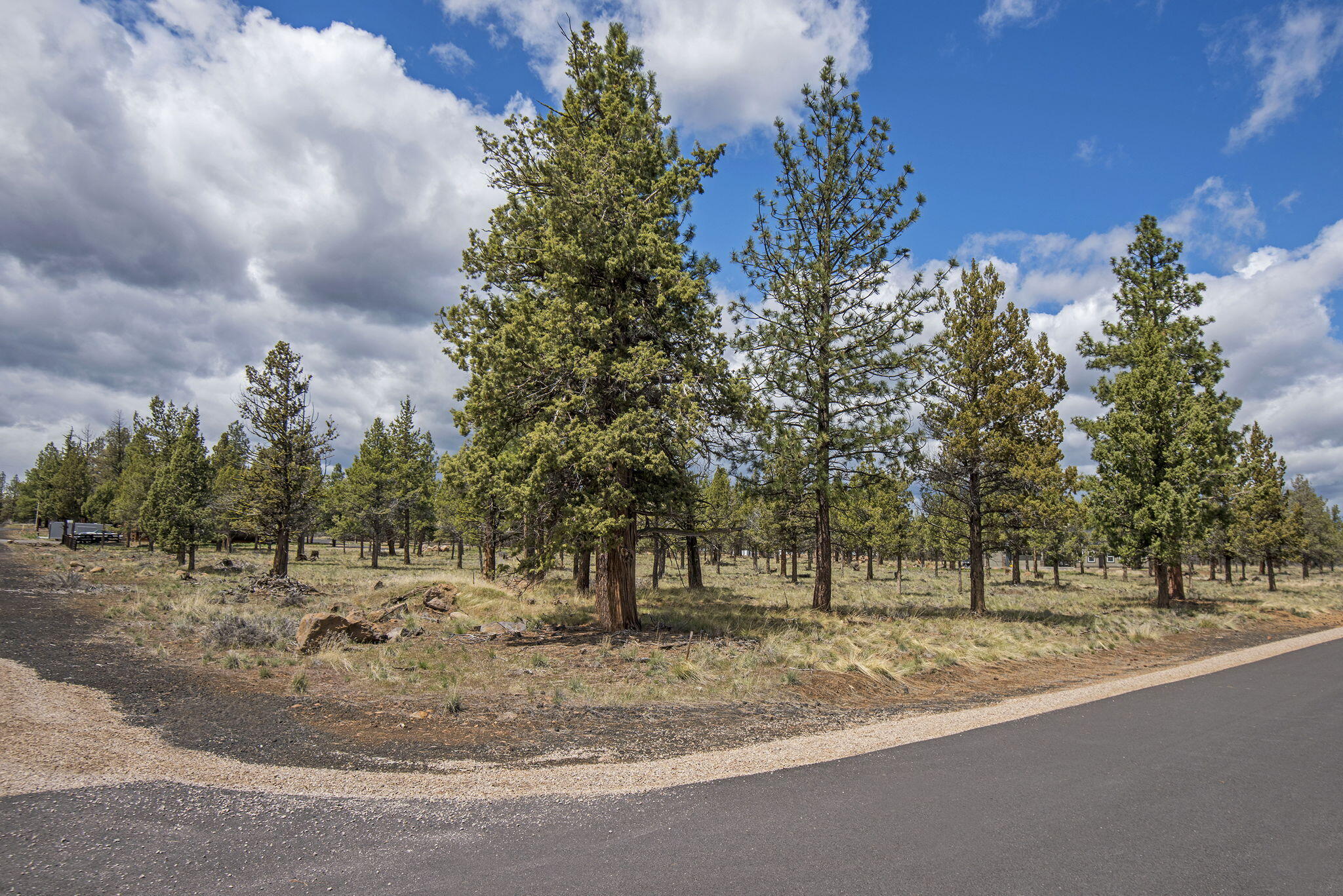 Squaw Creek Canyon - Land