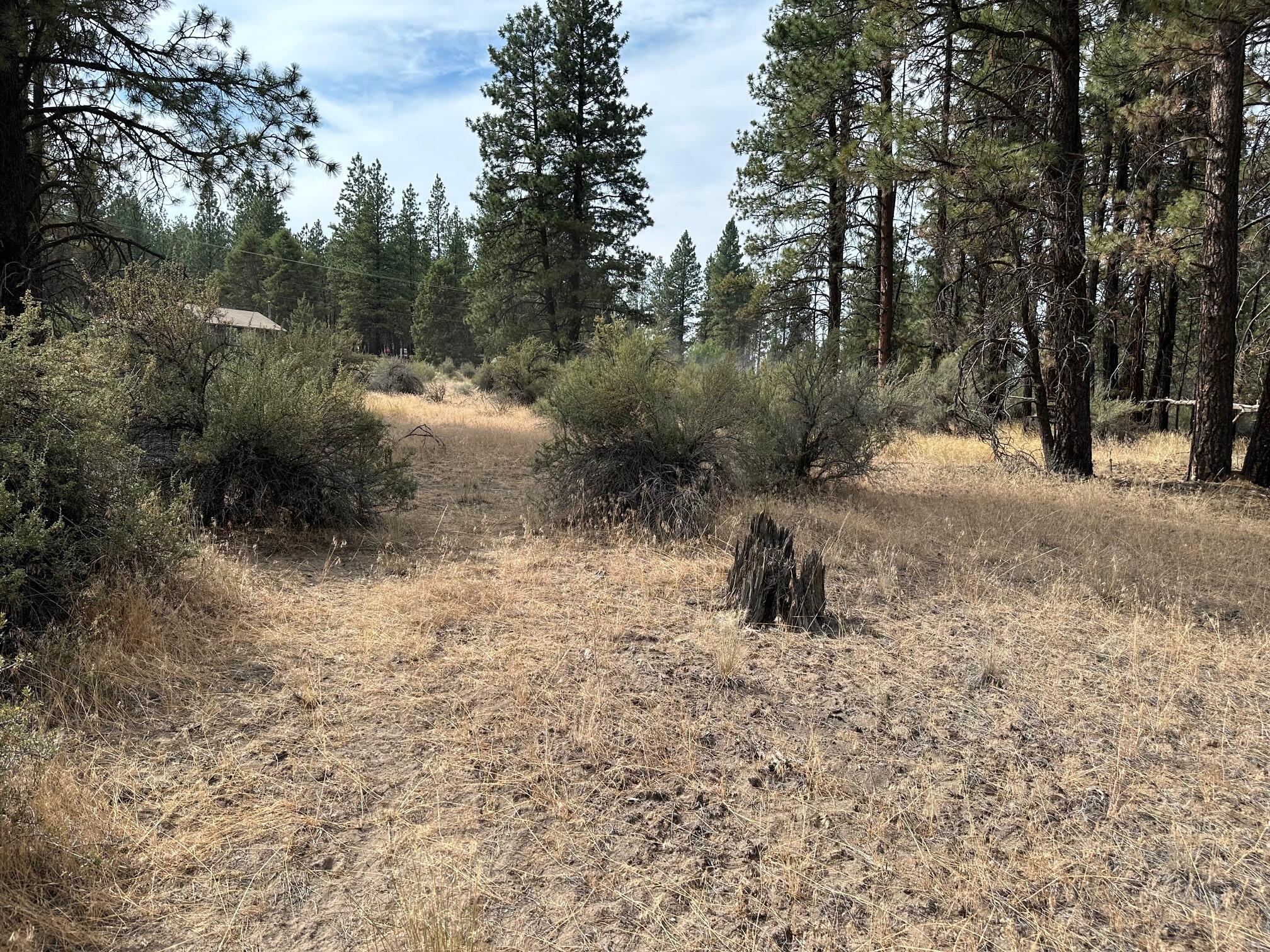 Klamath Forest Estates - Land