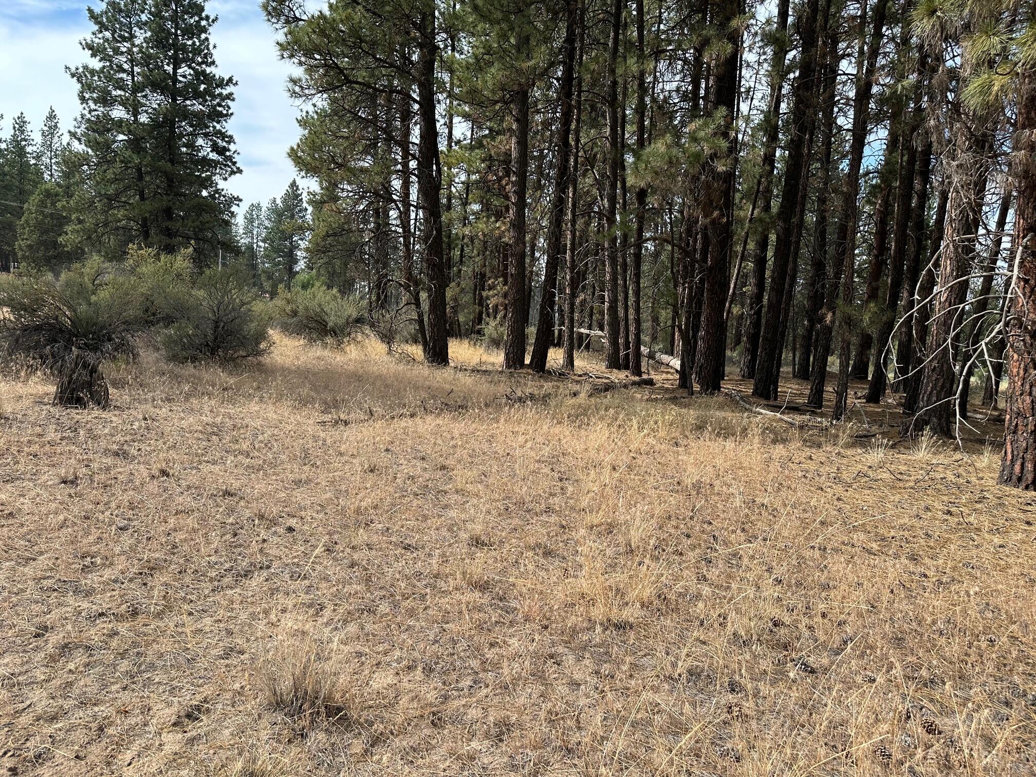 Klamath Forest Estates - Land