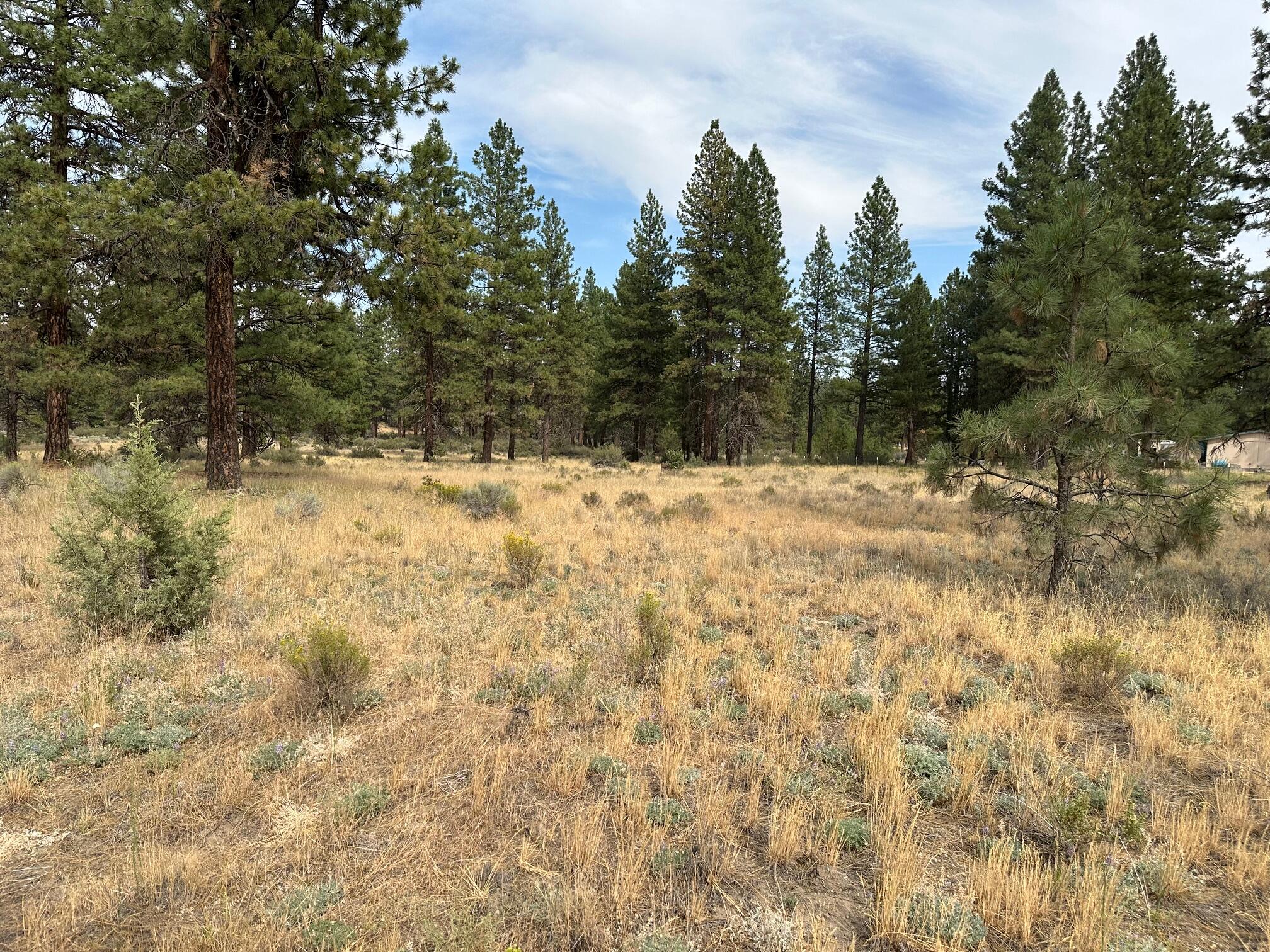 Klamath Forest Estates - Land