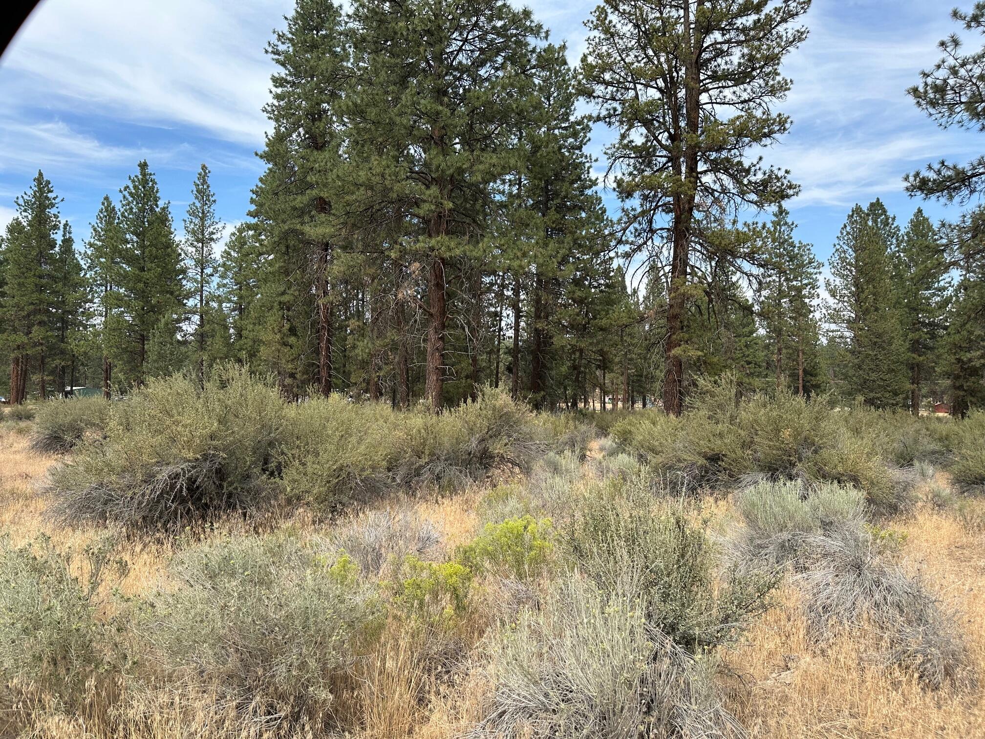 Klamath Forest Estates - Land