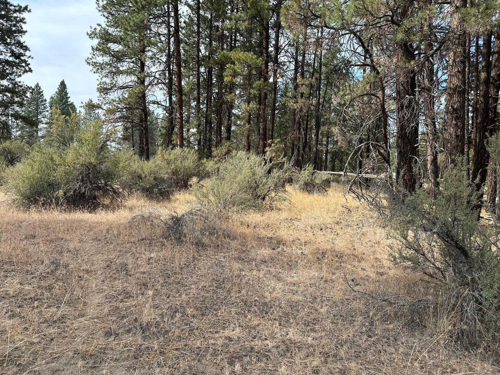 Klamath Forest Estates - Land