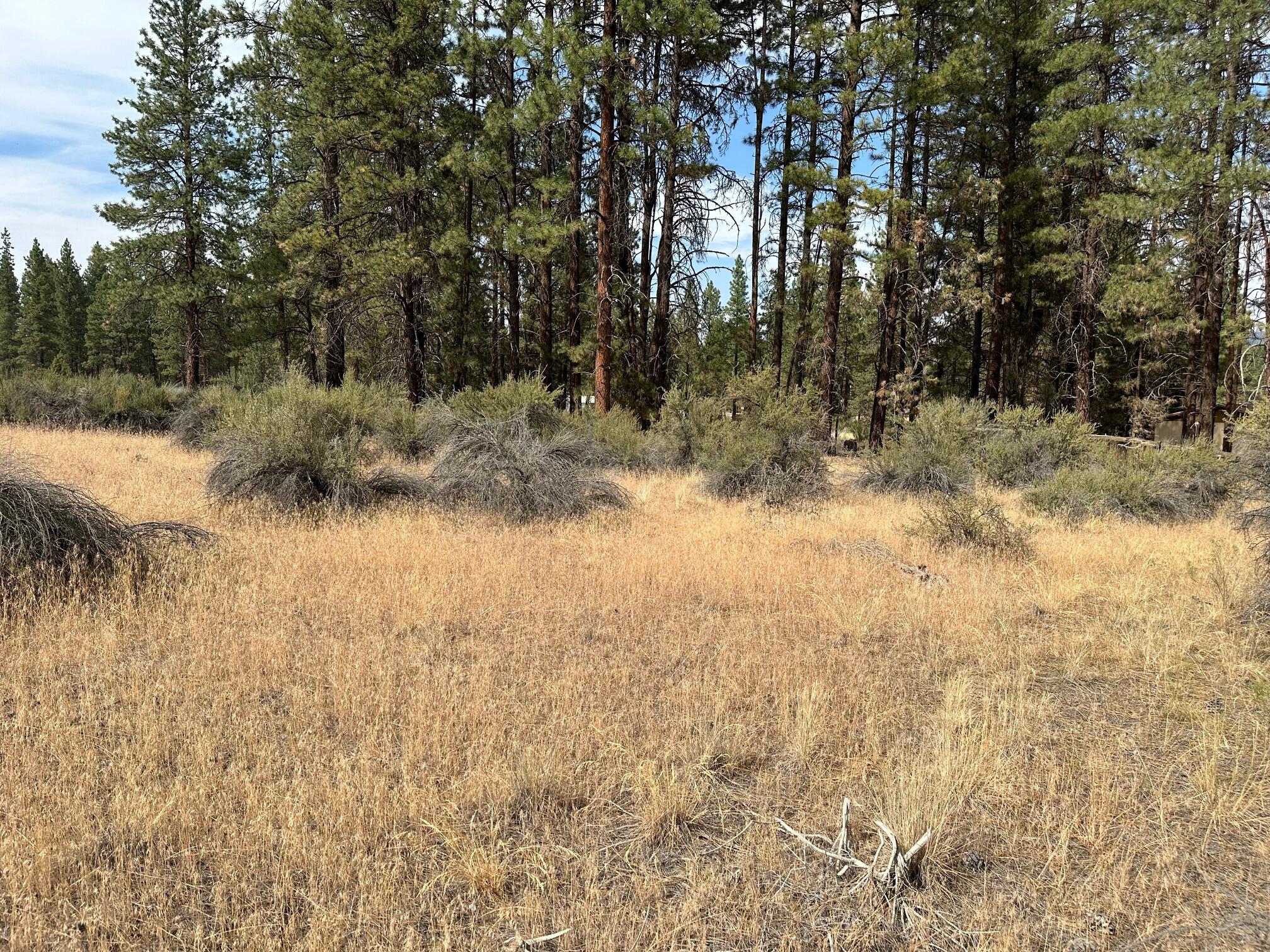 Klamath Forest Estates - Land