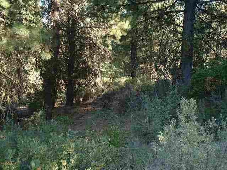 One Plus Acre Of Gorgoeous Pines In An Area Of Beautiful Homes. Deeded Access To The World Famous Williamson River Within Walking Distance. Great Roads, Well Maintained. Seller Will Consider Terms.