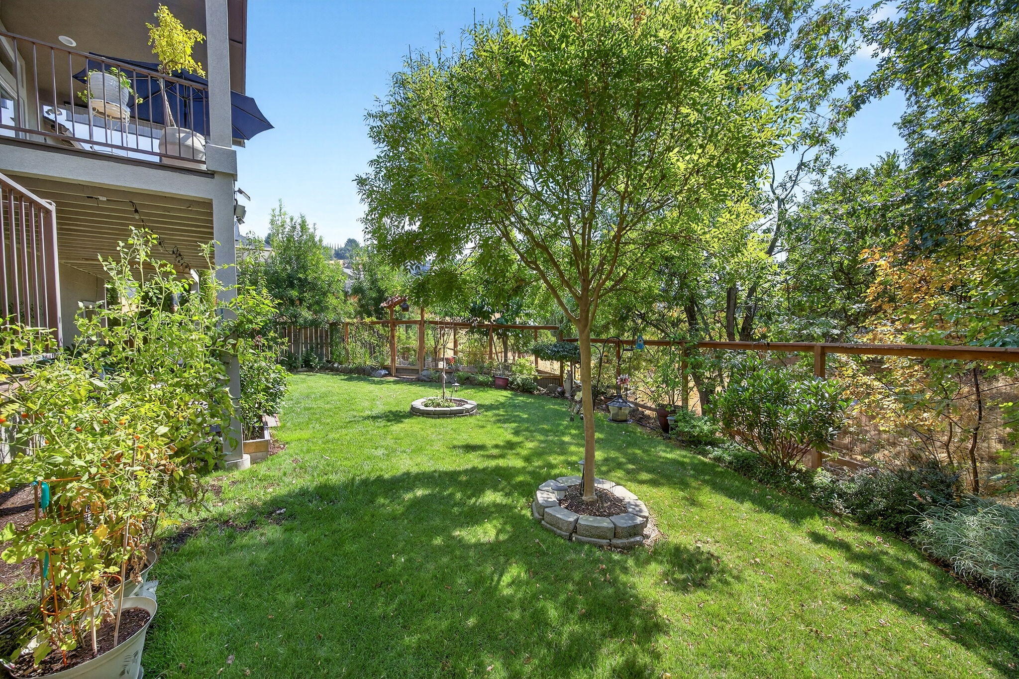 Forest Ridge At Vista Pointe Phase 1 - Residential