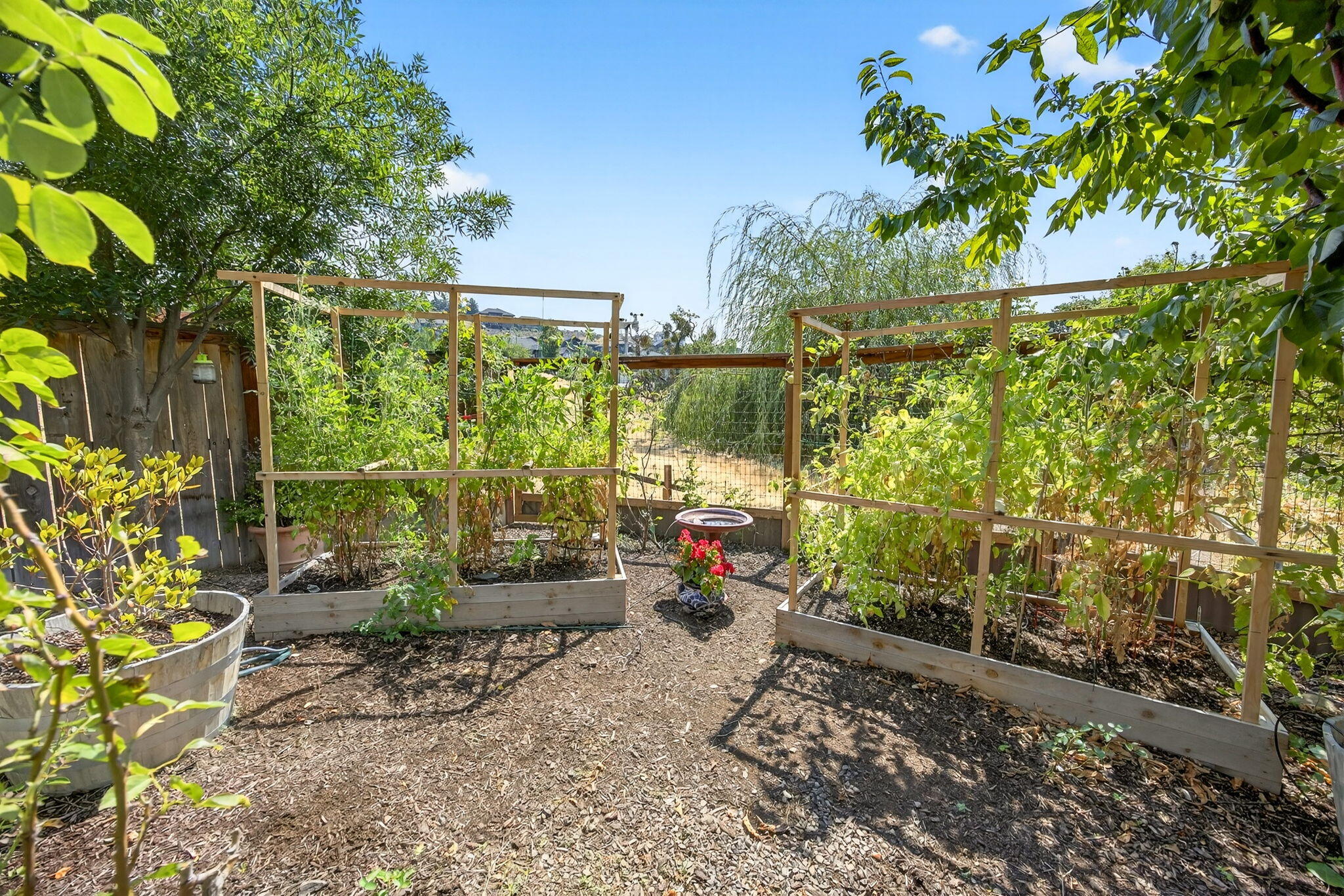 Forest Ridge At Vista Pointe Phase 1 - Residential