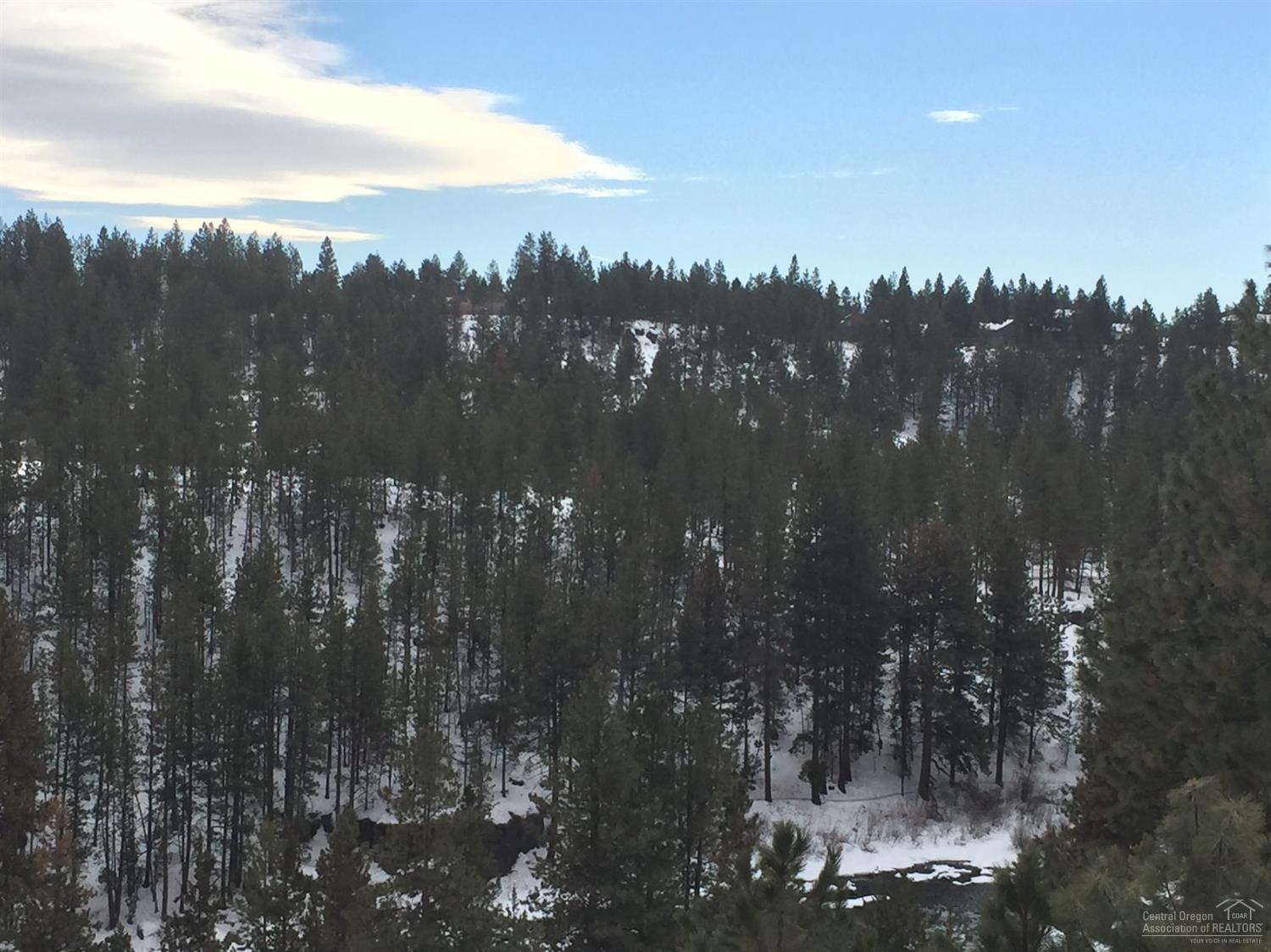 Mt Bachelor Village - Residential