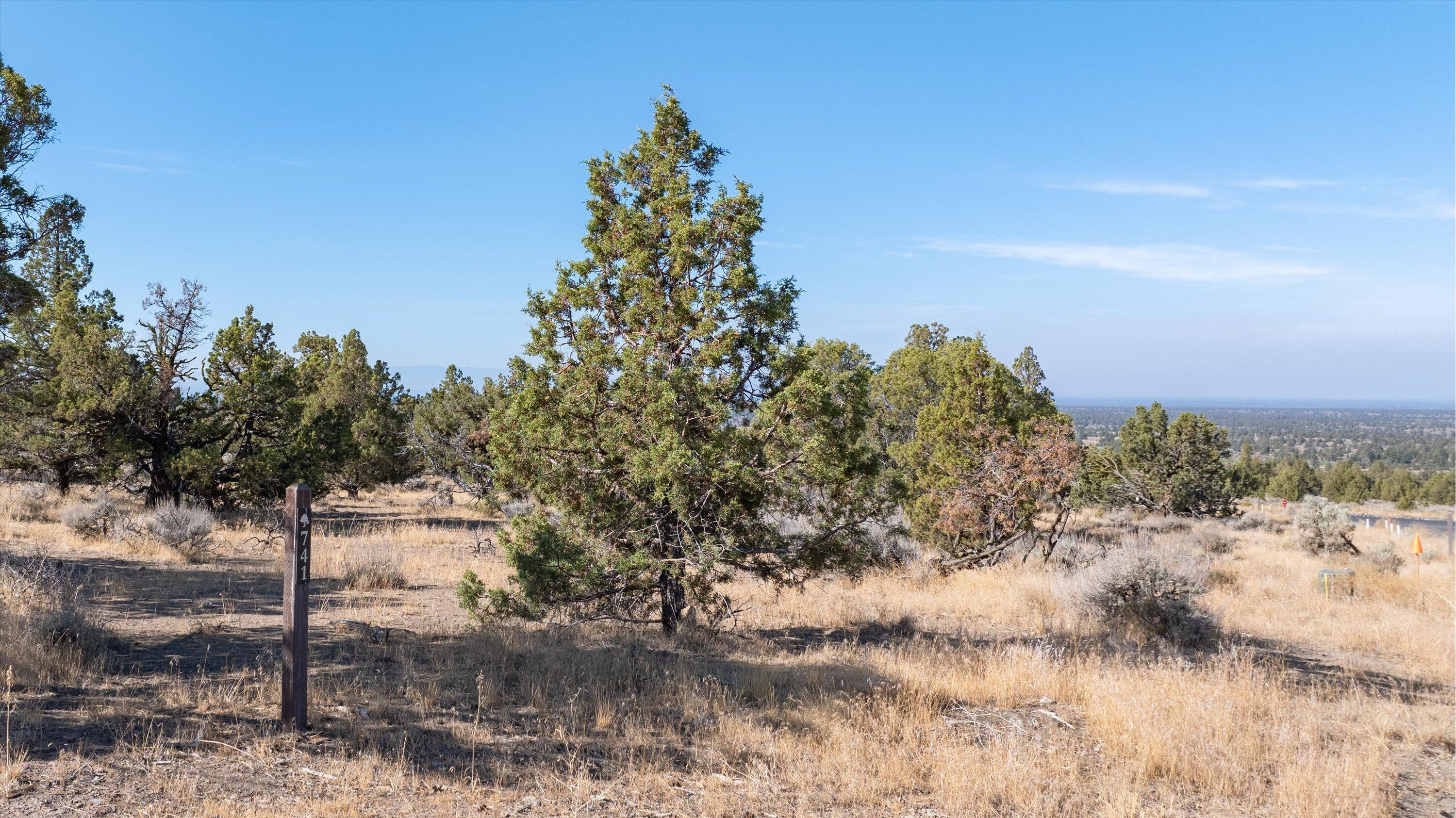 Paragon Court Homesite 741