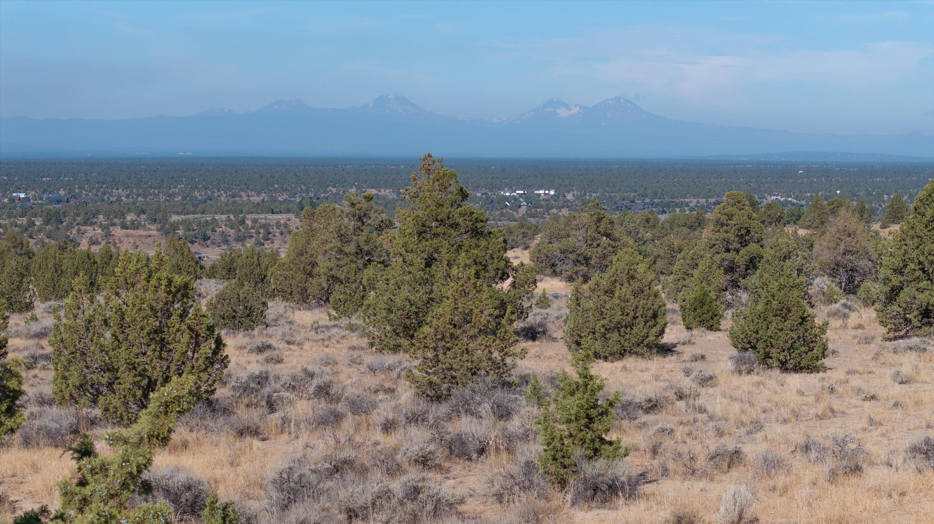 Paragon Court Homesite 741