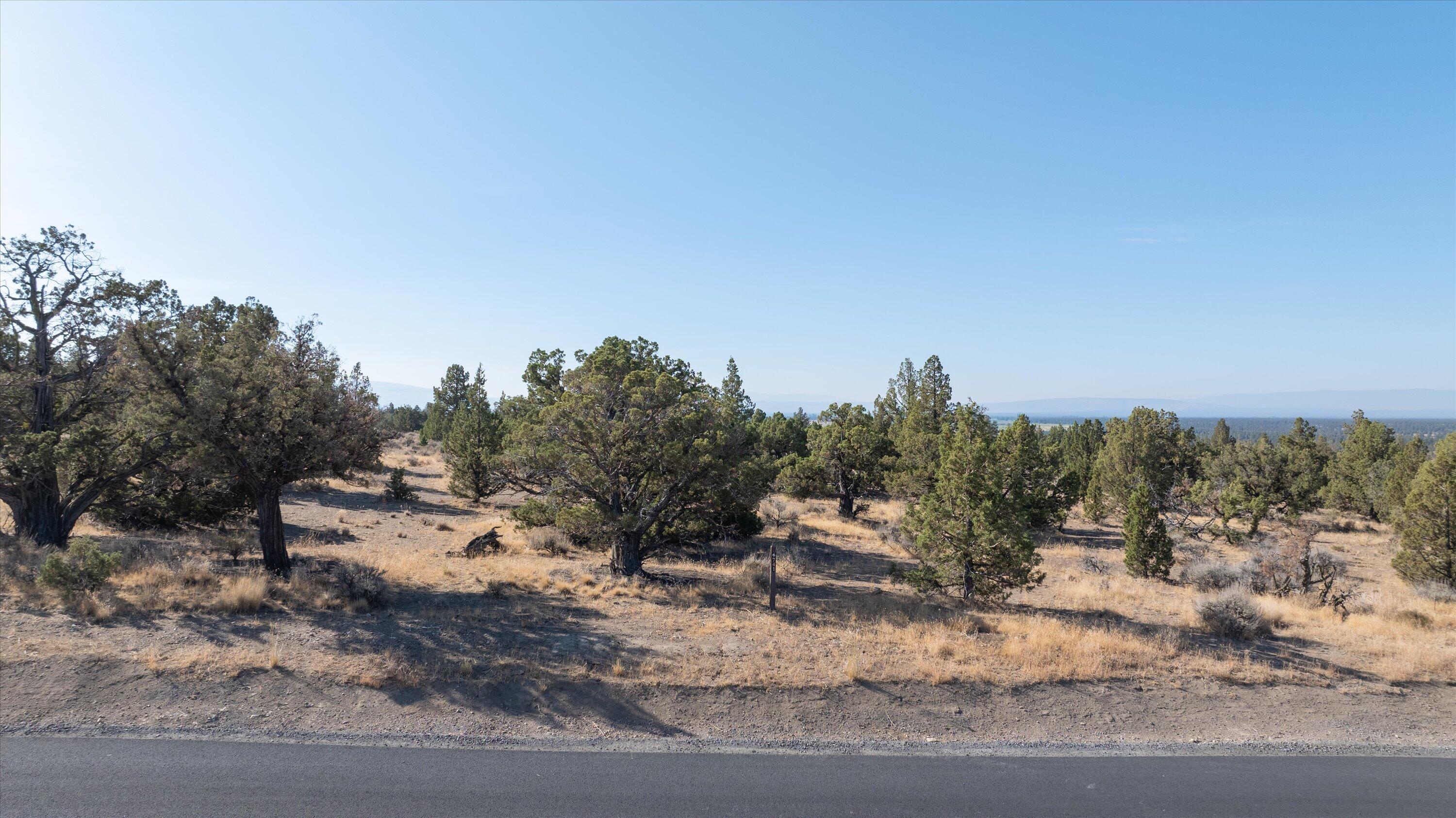 Paragon Court Homesite 741