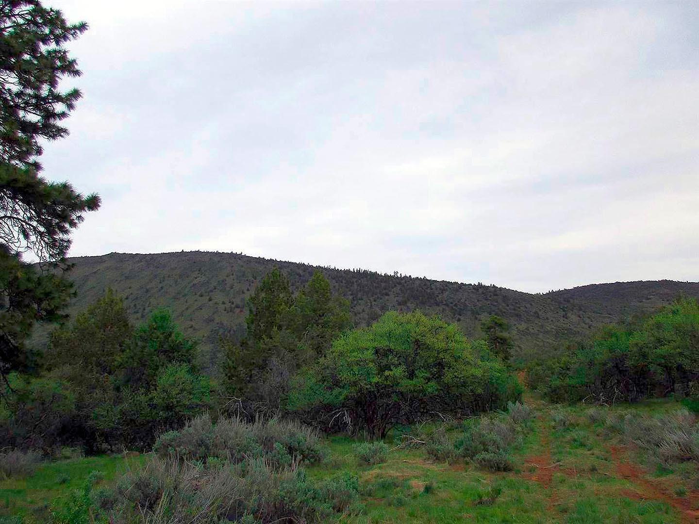 Paradise Hill - Land