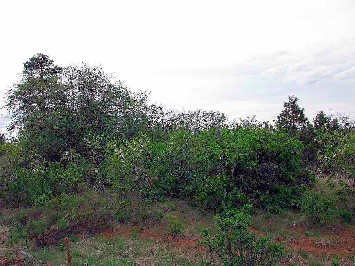 Paradise Hill - Land