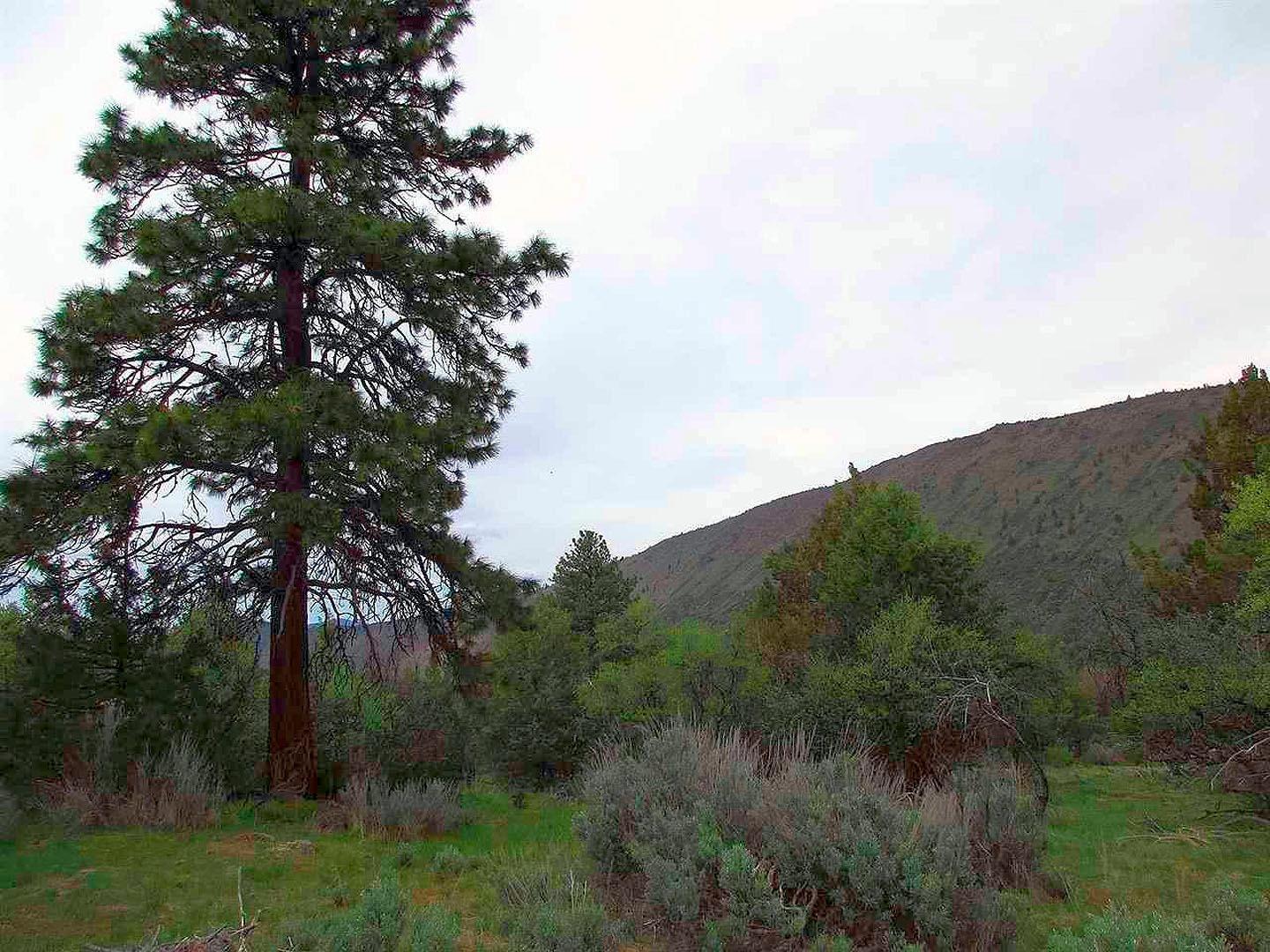 Paradise Hill - Land