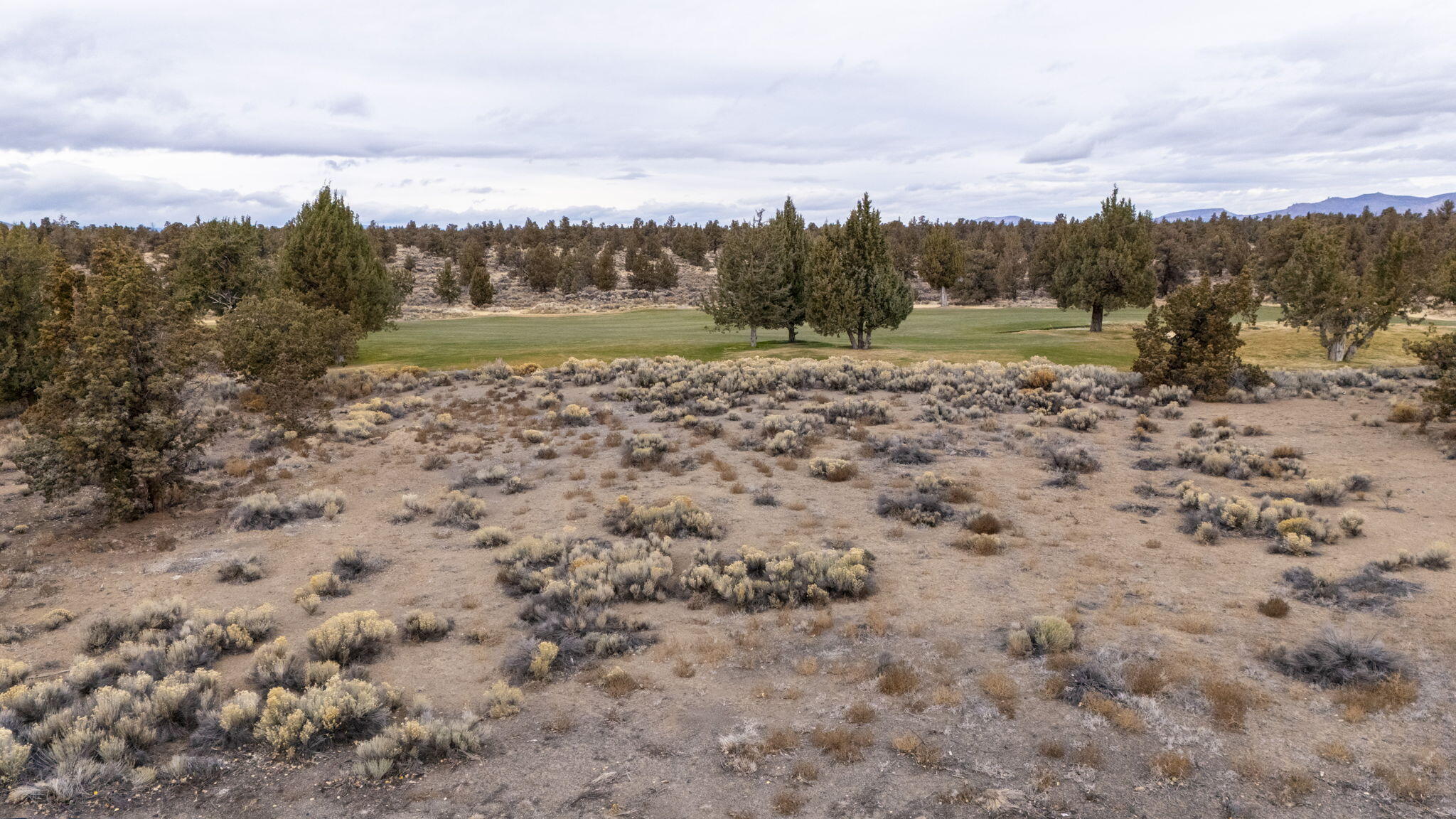 Pronghorn Estates Drive Lot 232