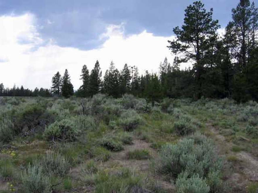 Wow!13.18 Partially Wooded And Remote Acres In Klamath Falls Forest Estates Sycan Unit Adjoining National Forest! You Don't Find Land For This Price Any More! Perfect For That Vacation Get-away Or Solar-powered Year Around Home (With A Snow Cat For The Winter). Seasonal Access Only. Lot Dimensions Are Approximate.