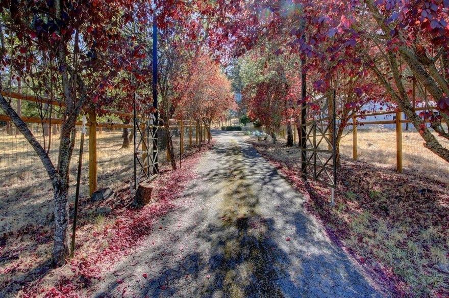 Beautiful and spacious single level home in Medford's spectacular SW rural area. 4 bedrooms, 2 baths, 2176 sqft on 6.33 (2 tax lots) tranquil acres. All fenced and cross fenced with a barn including 9 stalls, 2 tack rooms and loft. The home is tastefully done with wood beams flowing through the living room and family room. Floor to ceiling fireplace in family room and wood/pellet stove in living room. Hugh kitchen, double oven, formal dining area, huge breakfast bar that all flows together nicely. Expansive decks overlook the grassy pasture area with huge soaring trees. 2 car detached garage has been converted to living space.Back on the market no fault of the property. Amazing horse property!!! Huge deck to enjoy the peaceful setting among the trees.