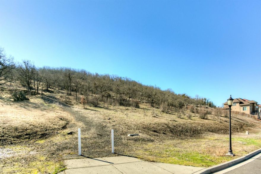 East Medford Luxury View lot surrounded by beautiful, high-end homes in impressive location. Comfortable East Medford living close to town and minutes from classic Southern Oregon hiking & biking trails and views of Roxy Anne mountain. You will appreciate the views of the sunsets and privacy of park like mountainside from your back door. Start building your dream home today!