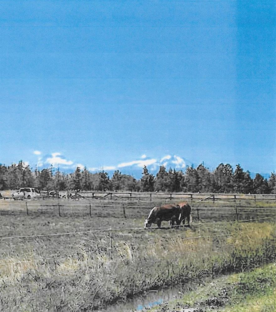 This property has magnificent views of the Cascades and is private. Great horse property or pasture for children's 4-H project. Seller has dug test holes but did not complete inspection. Well needs to be dug.