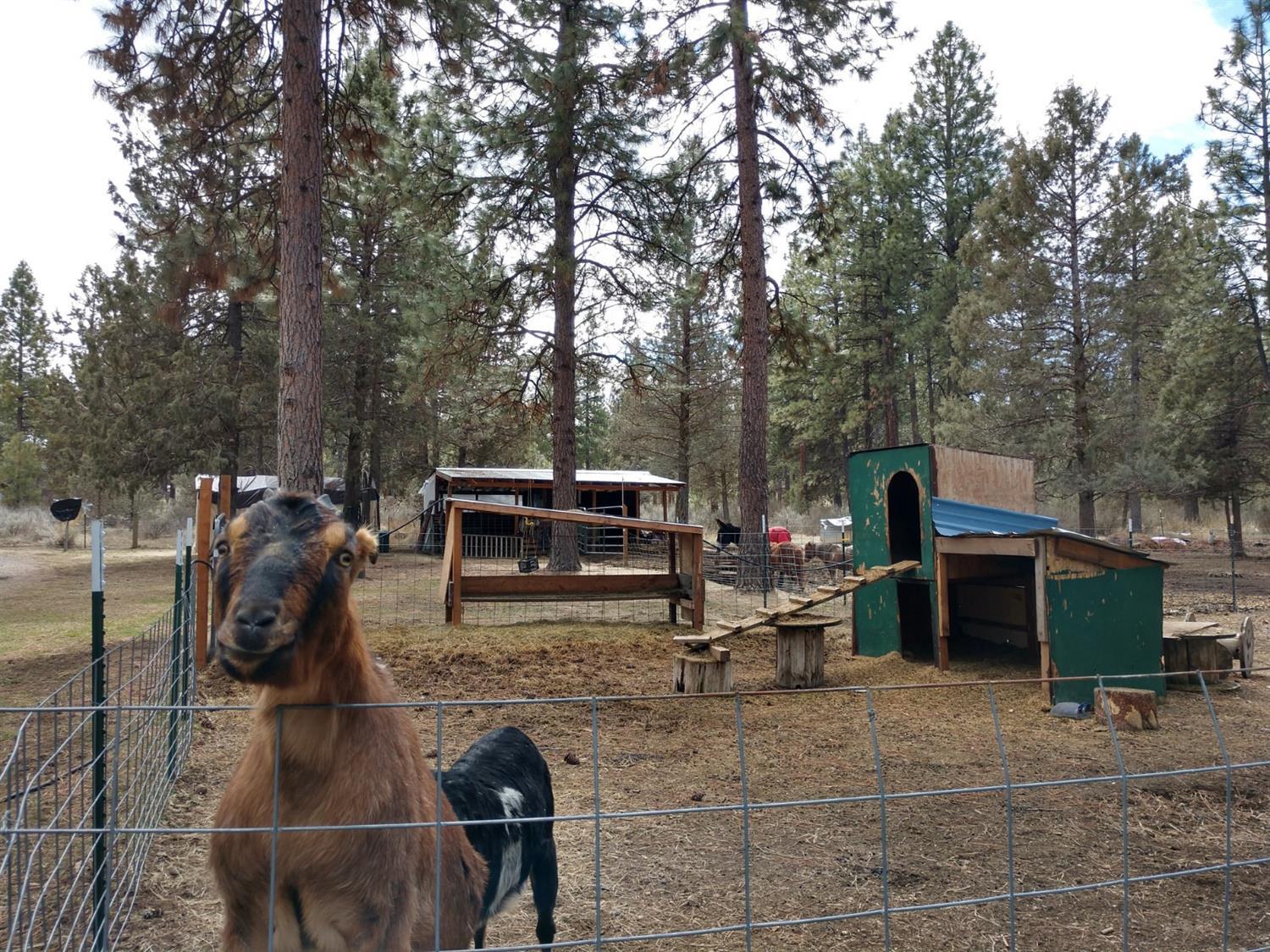 Irish Bend - Residential