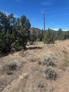 Juniper Hills - Land