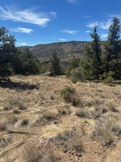 Juniper Hills - Land