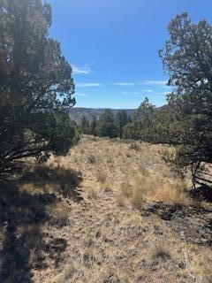 Juniper Hills - Land