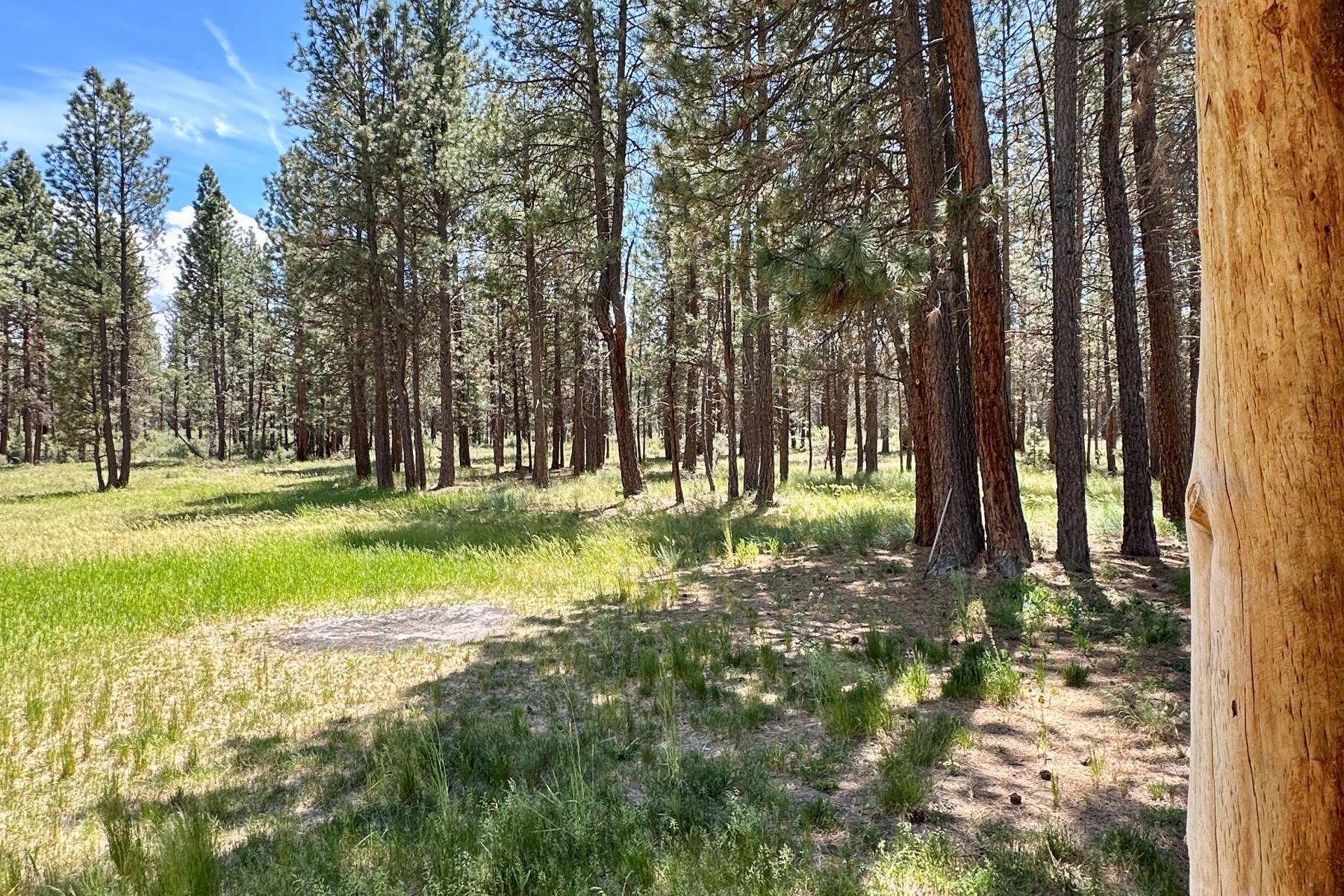 Sprague River - Residential