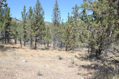 Tiny photo for NW Irvine Avenue #TL4300, Prineville, OR 97754 (MLS # 220213110)