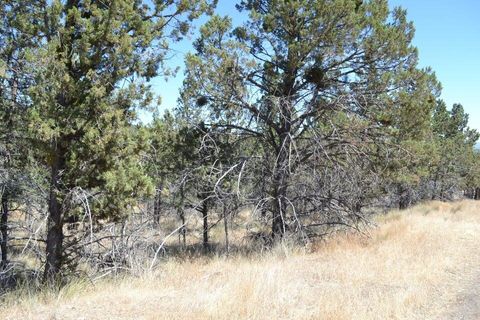 Tiny photo for NW Irvine Avenue #TL4300, Prineville, OR 97754 (MLS # 220213110)