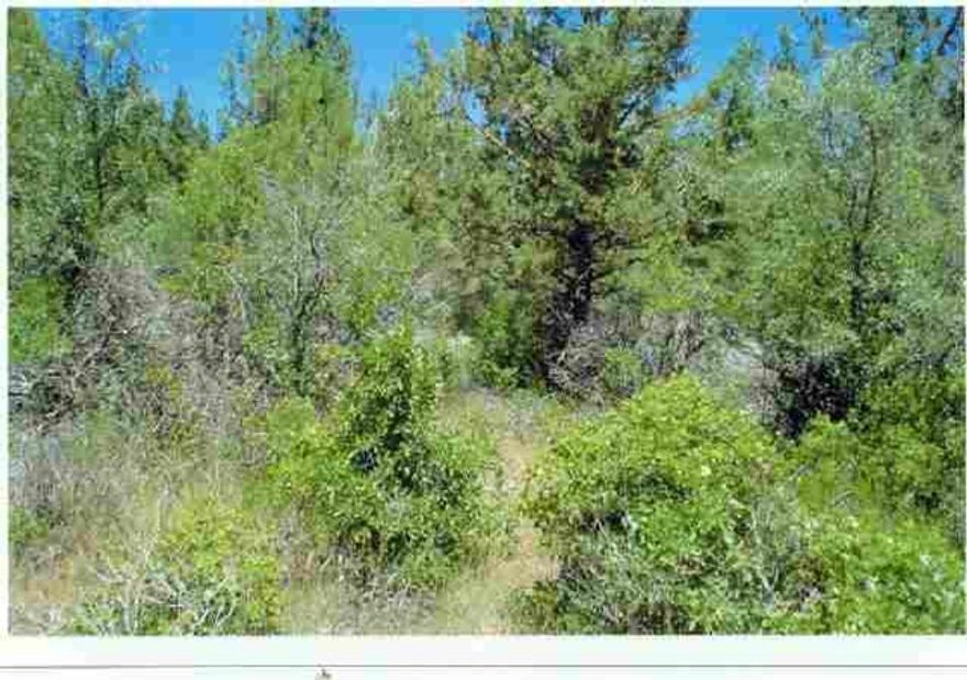 Nice Lot With Many Trees. Great Bldg Site. Cedar Trails C C & R's Apply. Site Built Homes Only. Seller Will Do Septic Perk Test If Necessary.
