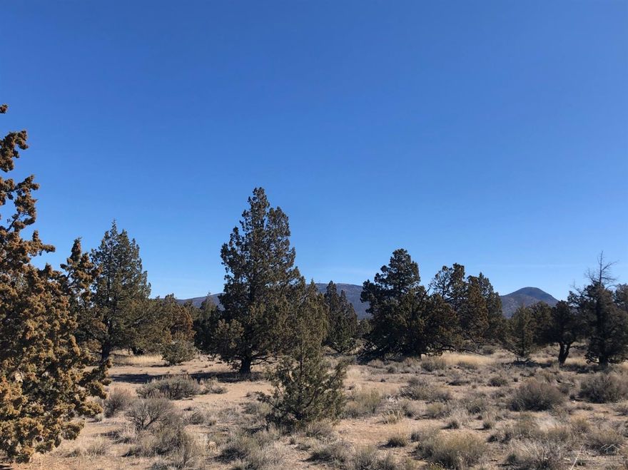 39.5 acres beautiful acres with no CCR's. This is a great location with access to BLM. Cascade Mountain and Powell Butte Views. Vested Conditional Use Permit approved for building site, septic feasibility and utilities to property line. Property is perimeter fenced. Come see this wonderful property that is perfectly located and just minutes to Bend, Prineville or Redmond.