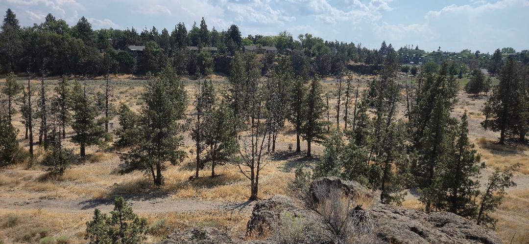 Canyon Rim Village - Land