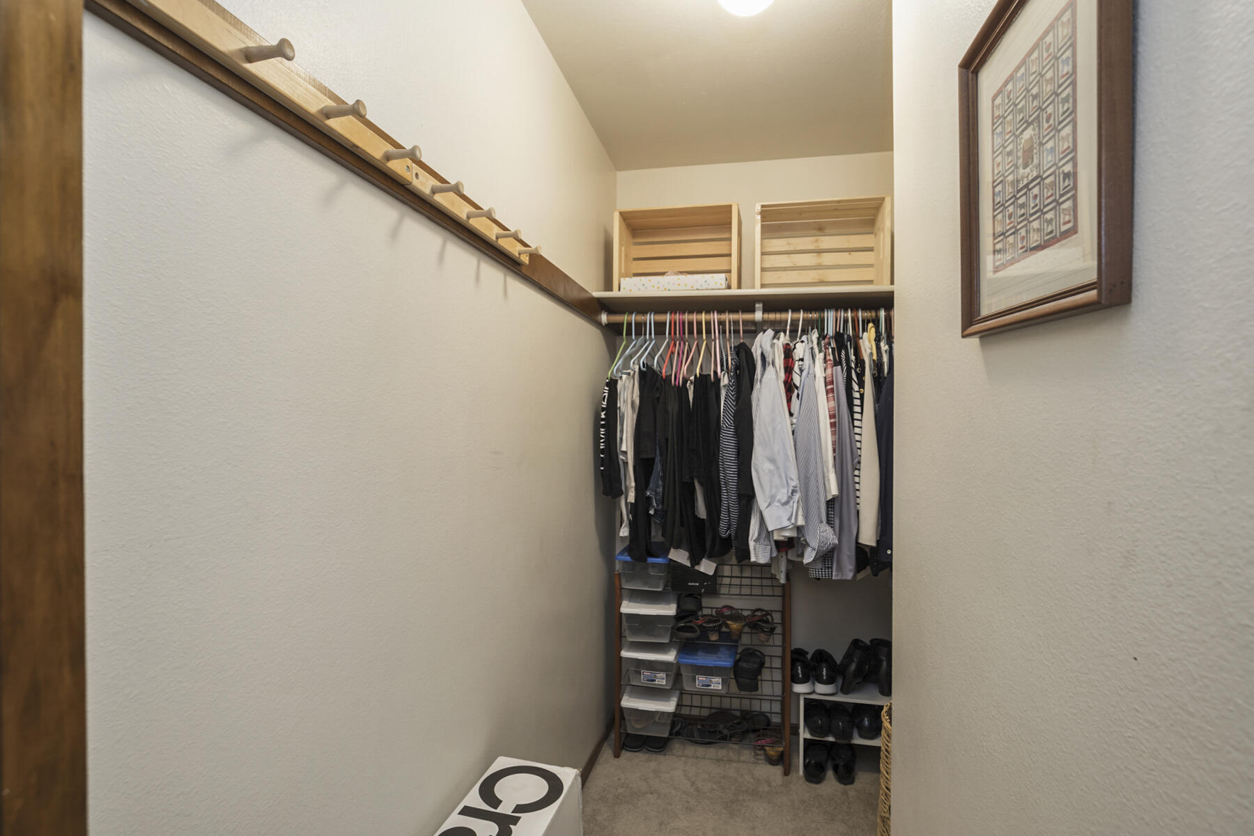 Kings Forest - Residential