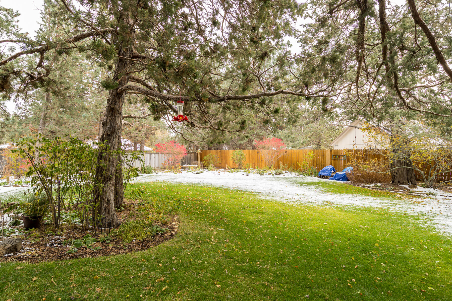 Kings Forest - Residential