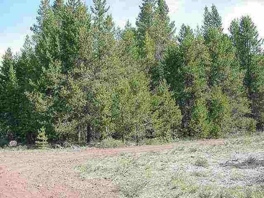 L - 549 Beautiful Pine Covered Land With Views Of Surrounding Mountains, Good Roads In A Subdivision. Excellent Year Around Recreation.