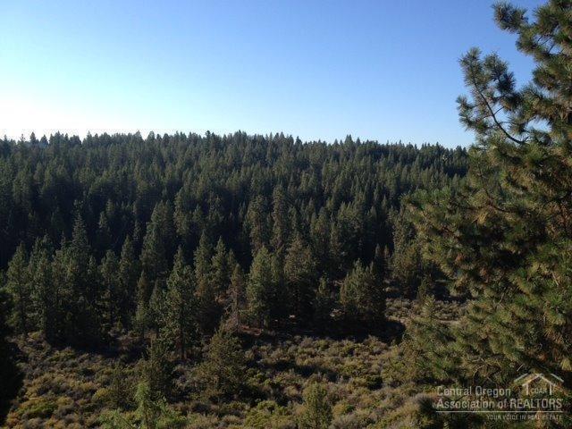 Mt Bachelor Village - Residential