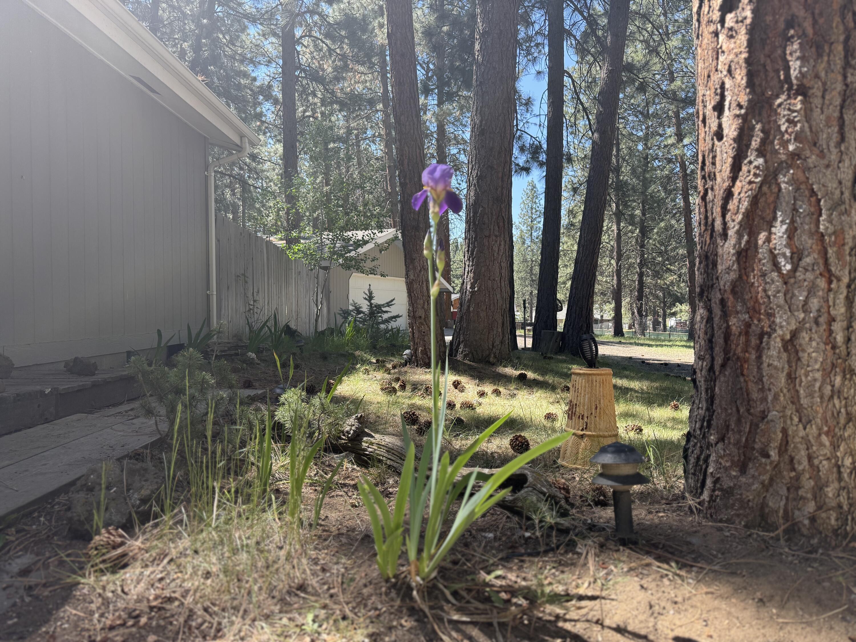 Deschutes RiverWoods - Residential