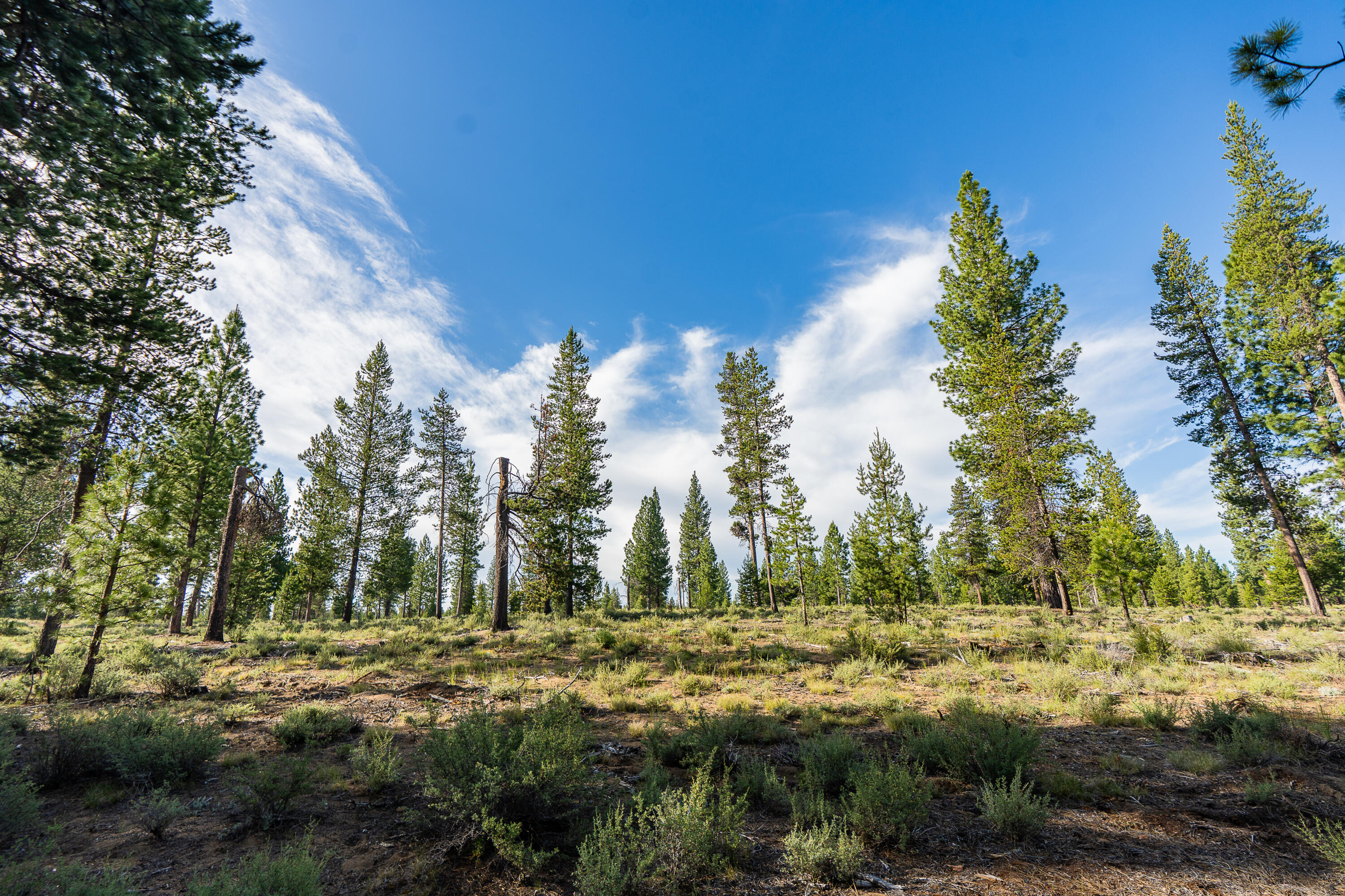 Fall River Estate - Land