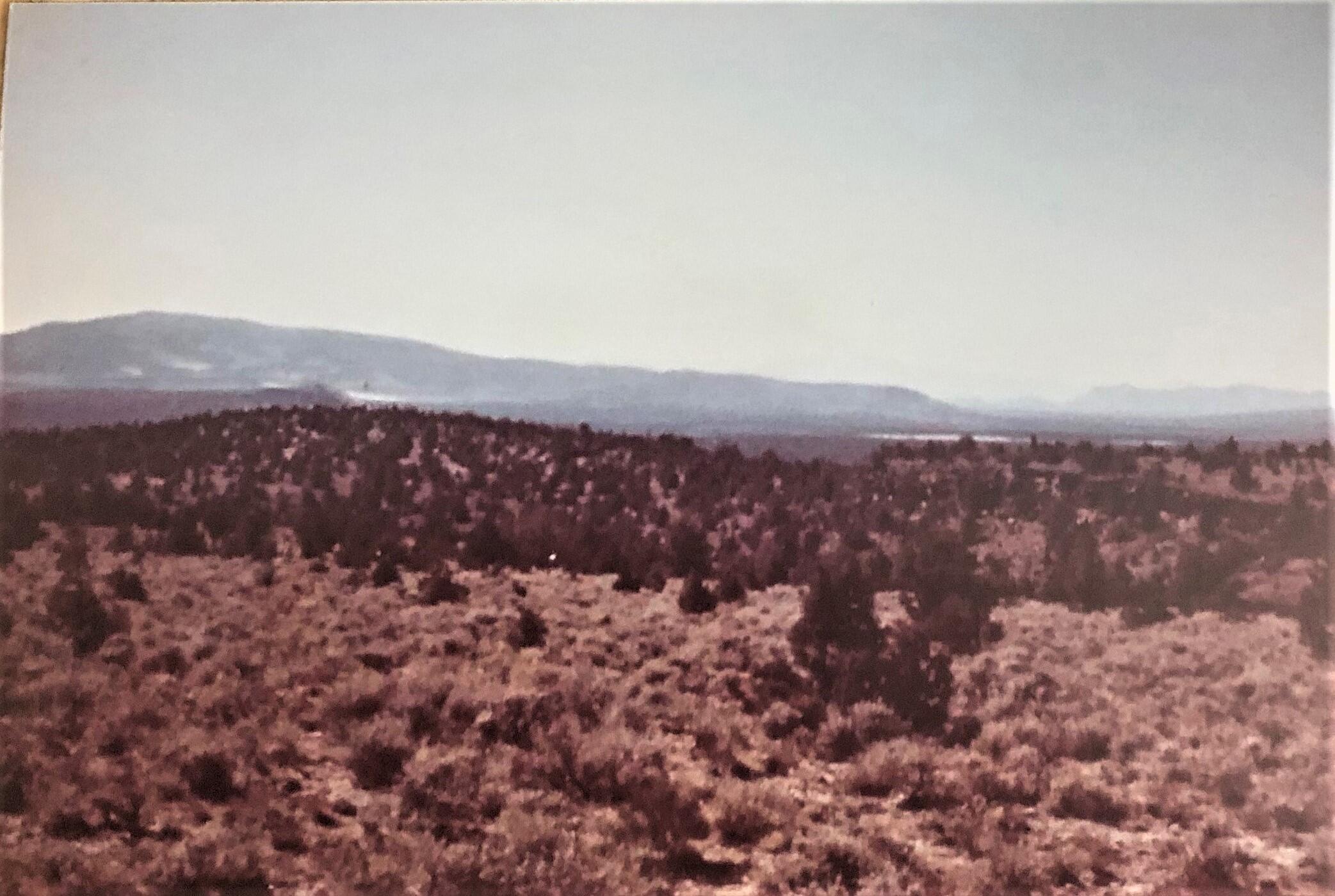 Prineville Acres - Land